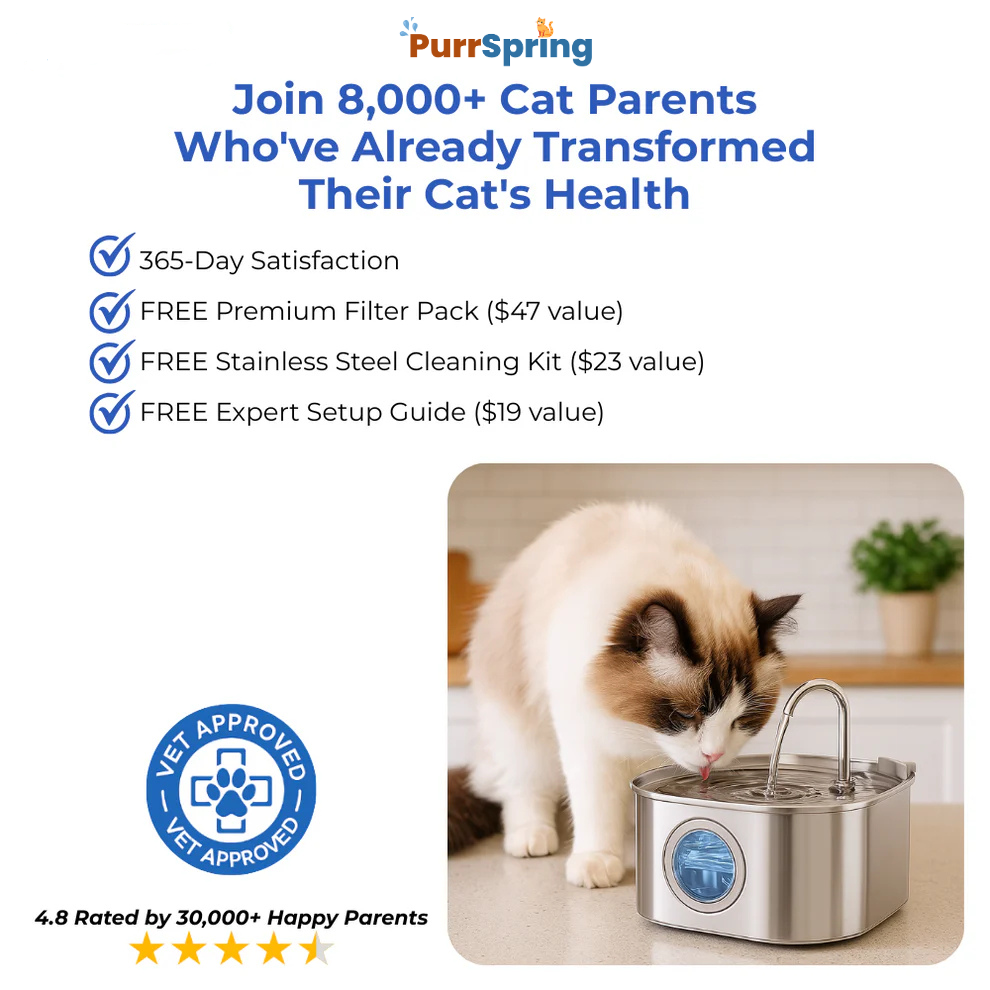 Give Your Cat More Life With PurrSpring Fountain