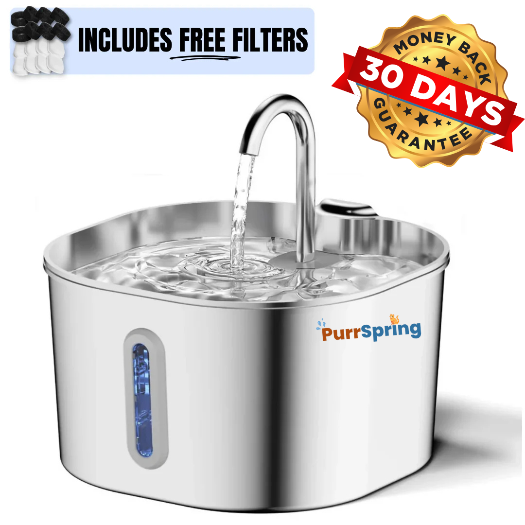 Give Your Cat More Life With PurrSpring Fountain
