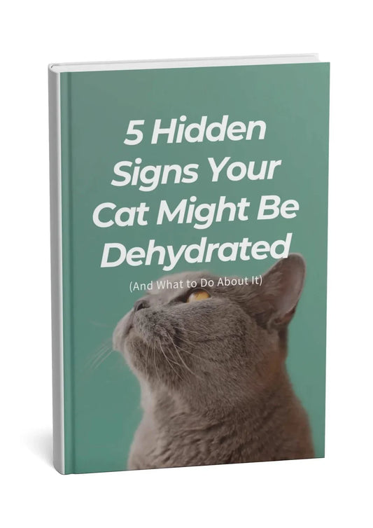 eBook: 5 Hidden Signs Your Cat Might Be Dehydrated (And What to Do About It)